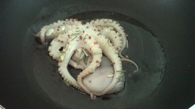 Octopus