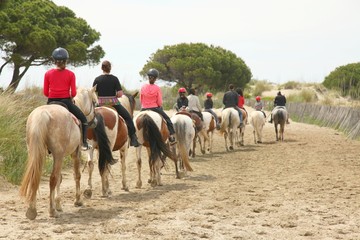 &eacute;questre.....