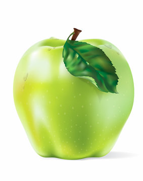 Vector Green Apple With Drops Isolated On White