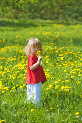 boy with a dandelion