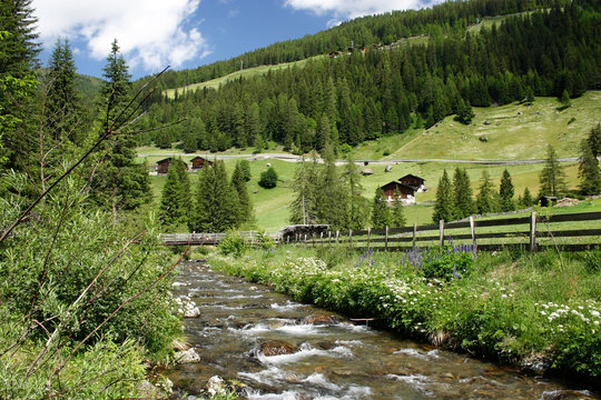 Wildbach im Ultental in S&uuml;dtirol.