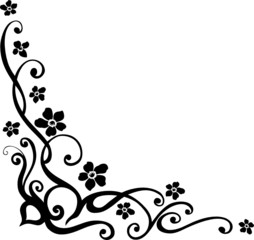 border, filigrane Ranke mit Blumen