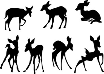 young deers