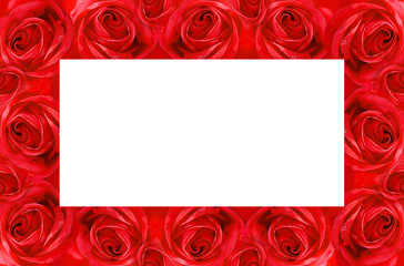 red rose frame - 14904489