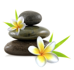 Fototapeta na wymiar frangipani kwiaty i kamienie zen
