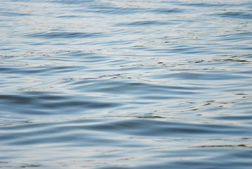 Water surface