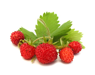 Wild strawberries