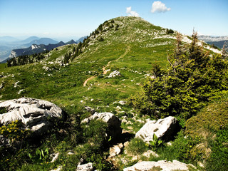 Paysage alpin (Charmant Som)