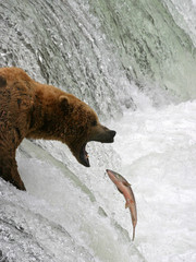 Gotcha!