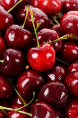 Red Cherry
