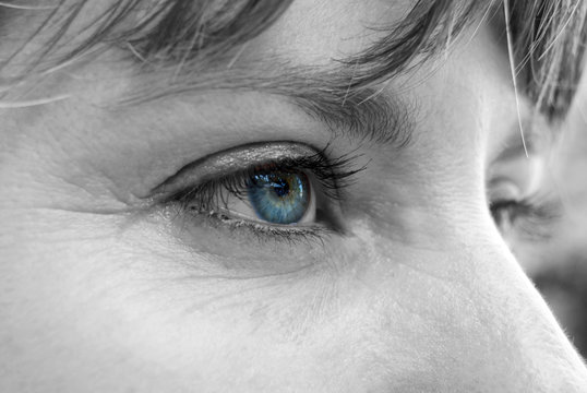 Iris bleu sur contour noir et blanc