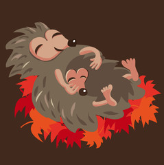 igel im winterschlaf, mama mit kind