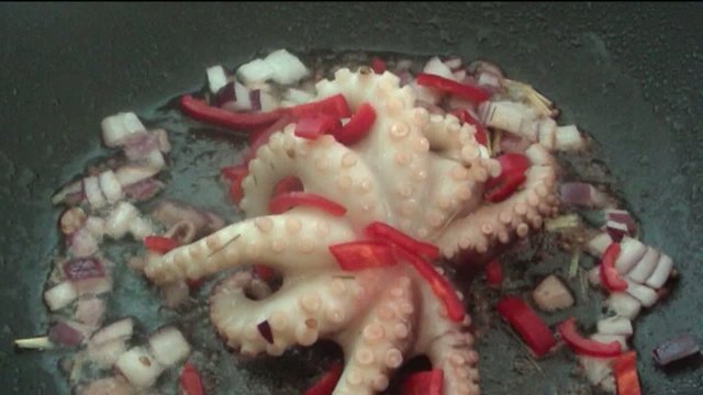 Octopus