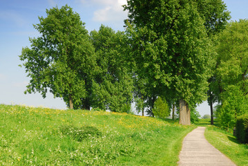 landscape in holland