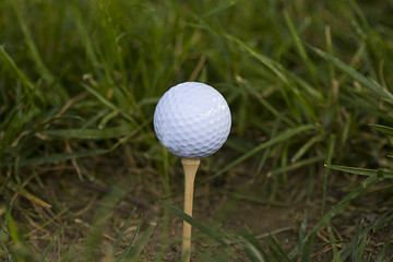 Single Golf Ball