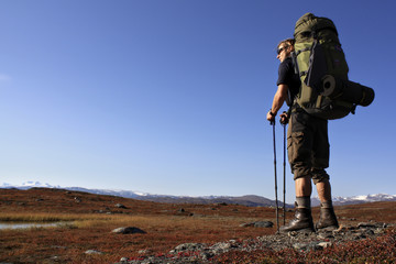 Hiker on the Kungsleden