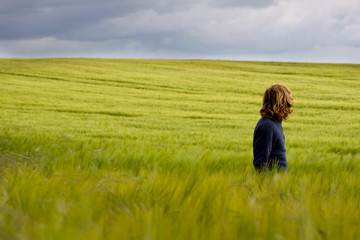 In the barley