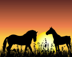 horses silhouettes