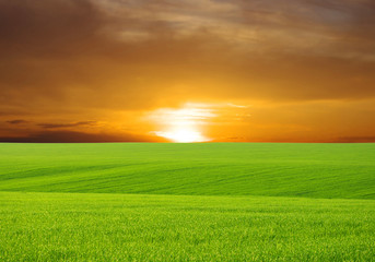 green field