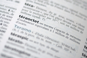 definition teraoctet