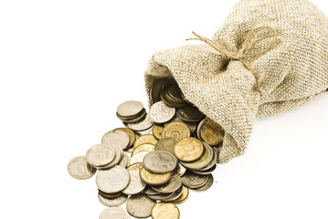 Bag with coin
