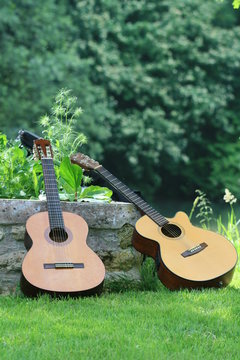 guitares dans la nature