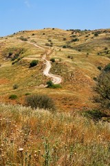 Countryside road leads to the top of yellow autumn hill