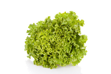 Ripe lettuce isolated in a white background