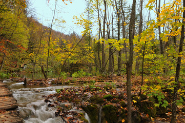 small waterfall in a wood with autumn colors