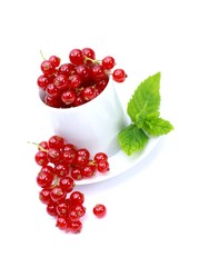 Johannisbeeren
