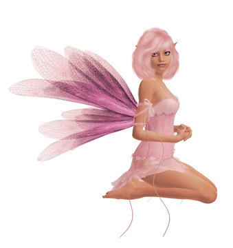 Pink Fairy