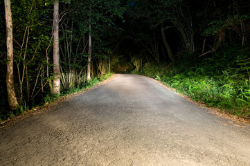 Naklejka premium Parque Natural Fragas do Eume - Galicia (España)