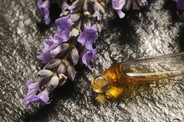 Obraz premium Essenza di lavanda