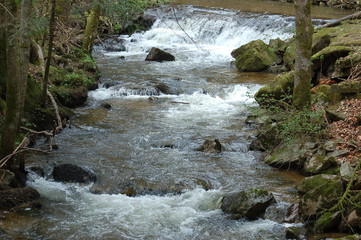 Waldbach