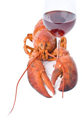 Lobster and Red Wine