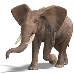 huge elephant © Ralf Kraft