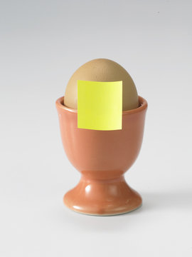 egg and egg holder