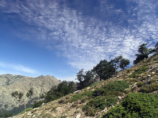 Col di Vergio, Corsica