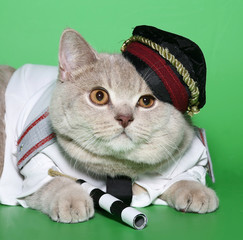 Cat the policeman.