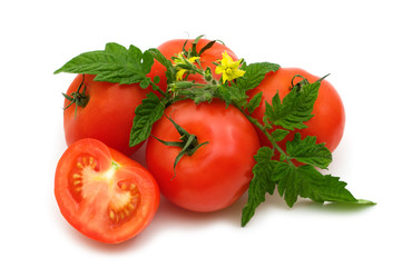 bio fresh tomatoes on white background
