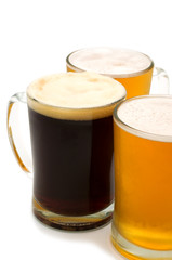 beer on white background