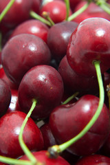 red cherries in closeup