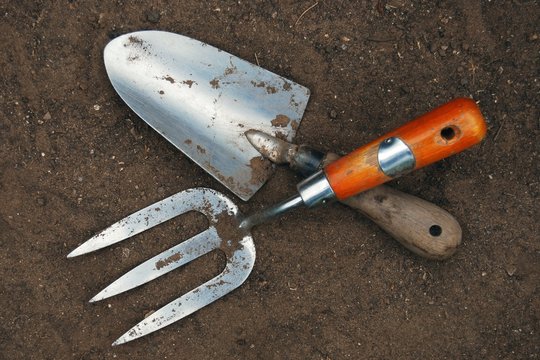 Garden fork and trowel on the ground