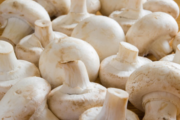 button mushrooms