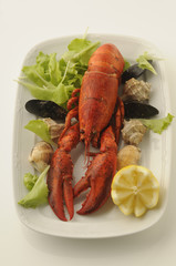 Astice e frutti i mare - Secondi di pesce