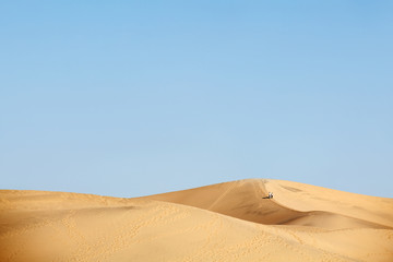 Fototapeta na wymiar two people walking in desert dunes