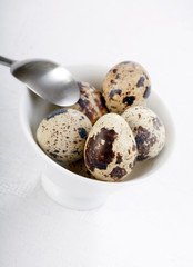 Obraz premium quail eggs