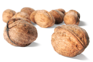 raw walnut