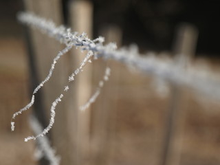 Frostiger Winter