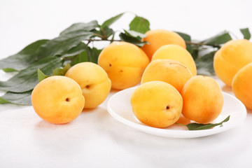 fresh apricots